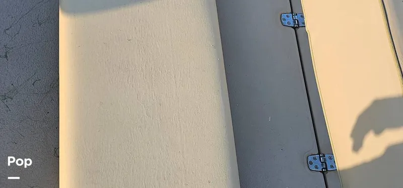 Slide: The Image of Shoalwater 23 Cat 2019 - 16068667