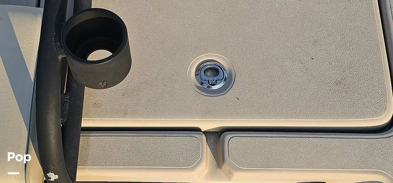 Slide: The Image of Shoalwater 23 Cat 2019 - 16068668