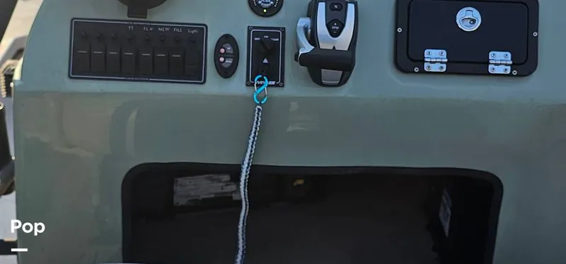 Slide: The Image of Shoalwater 23 Cat 2019 - 16068669