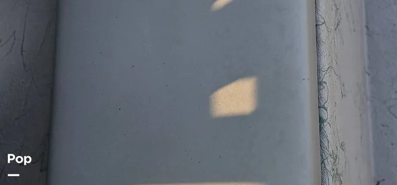 Slide: The Image of Shoalwater 23 Cat 2019 - 16068670