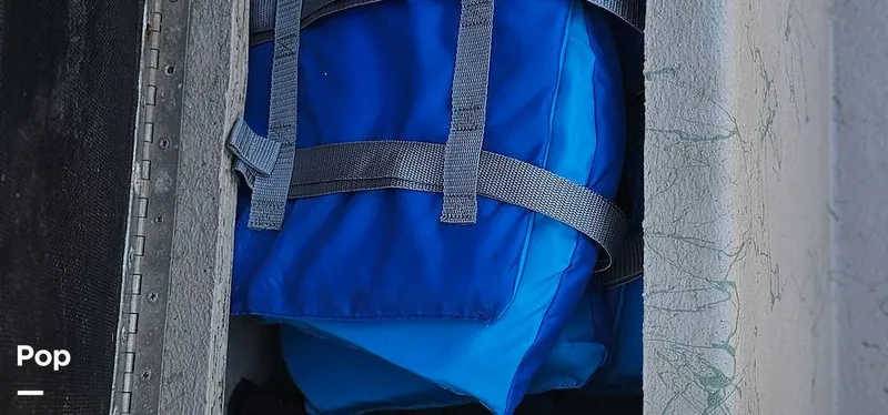 Slide: The Image of Shoalwater 23 Cat 2019 - 16068671