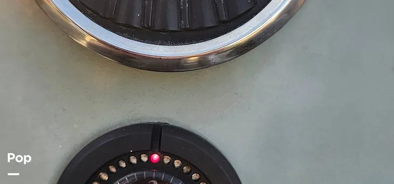 Slide: The Image of Shoalwater 23 Cat 2019 - 16068673