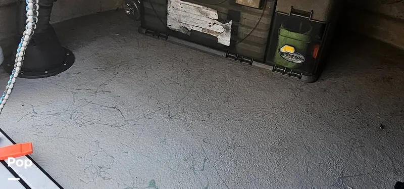 Slide: The Image of Shoalwater 23 Cat 2019 - 16068679