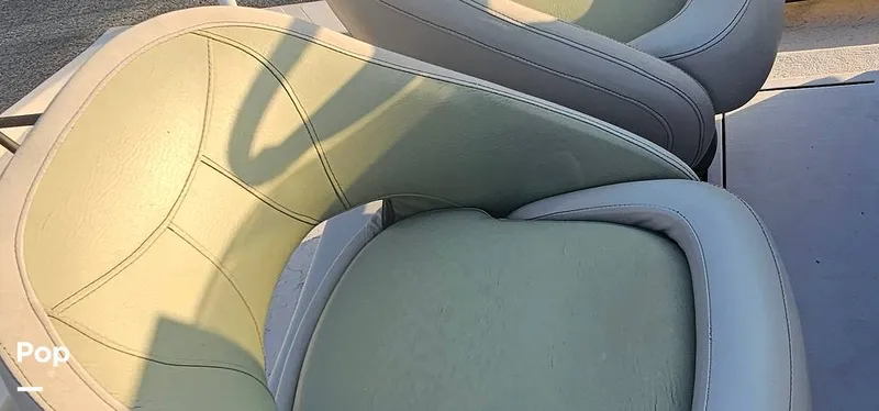 Slide: The Image of Shoalwater 23 Cat 2019 - 16068680