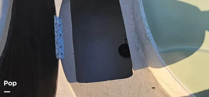 Slide: The Image of Shoalwater 23 Cat 2019 - 16068684