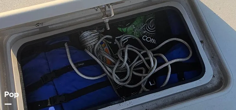 Slide: The Image of Shoalwater 23 Cat 2019 - 16068685