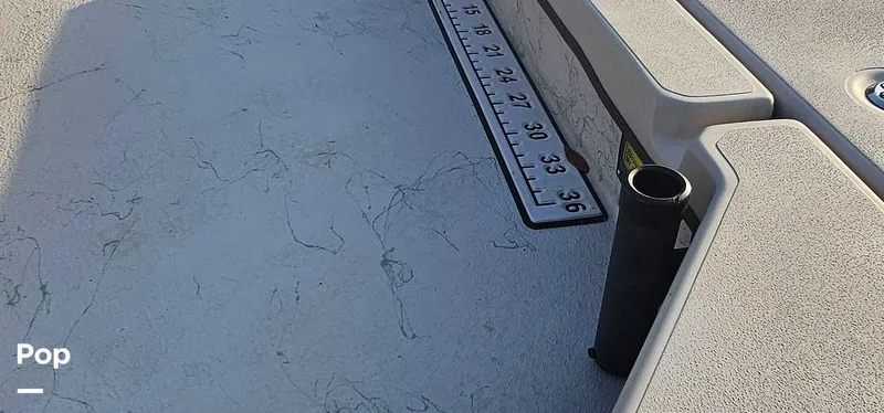 Slide: The Image of Shoalwater 23 Cat 2019 - 16068690