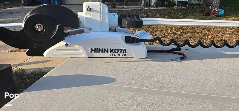 Slide: The Image of Shoalwater 23 Cat 2019 - 16068694