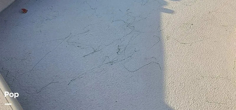 Slide: The Image of Shoalwater 23 Cat 2019 - 16068696