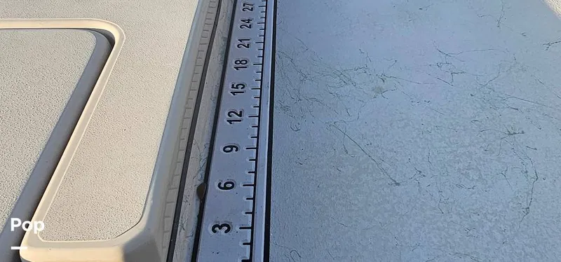 Slide: The Image of Shoalwater 23 Cat 2019 - 16068697