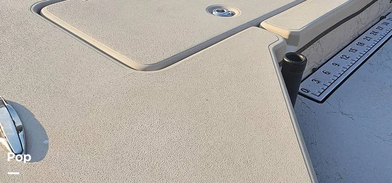 Slide: The Image of Shoalwater 23 Cat 2019 - 16068698