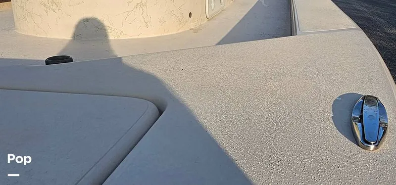 Slide: The Image of Shoalwater 23 Cat 2019 - 16068699