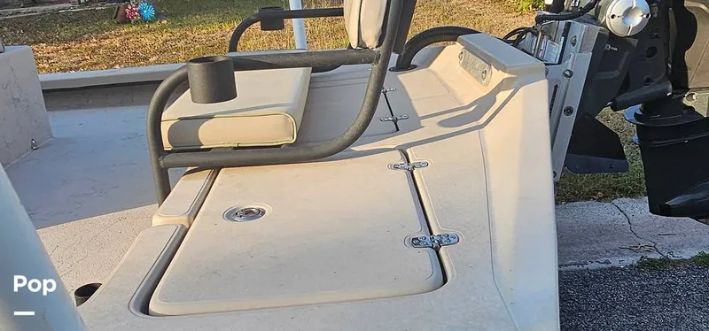 Slide: The Image of Shoalwater 23 Cat 2019 - 16068709