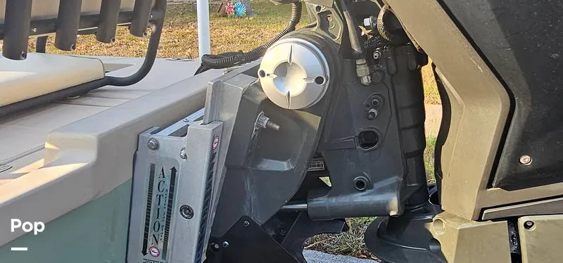 Slide: The Image of Shoalwater 23 Cat 2019 - 16068713