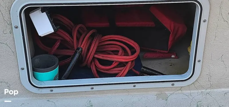 Slide: The Image of Shoalwater 23 Cat 2019 - 16068654