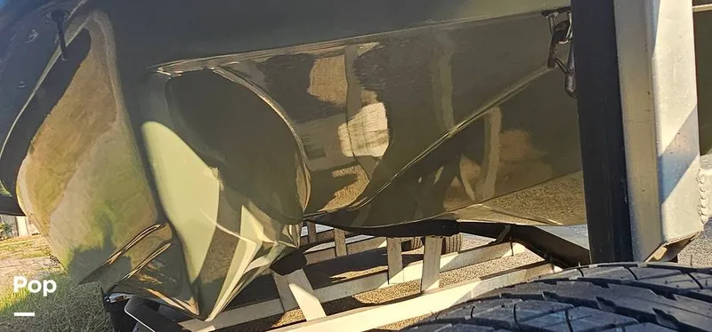 Slide: The Image of Shoalwater 23 Cat 2019 - 16068725