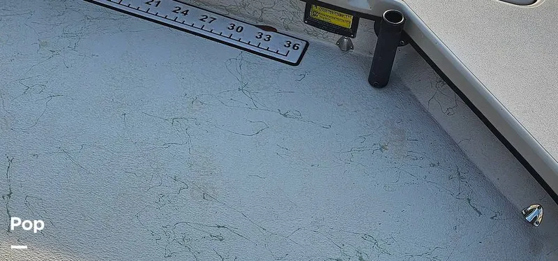 Slide: The Image of Shoalwater 23 Cat 2019 - 16068655