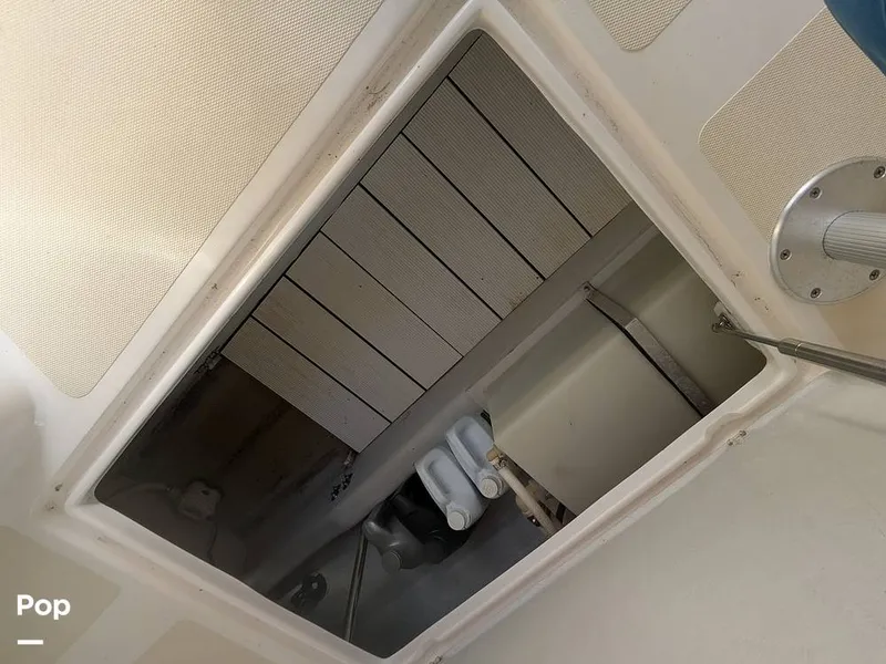 Slide: The Image of Hunt Harrier 25 2006 - 16163138