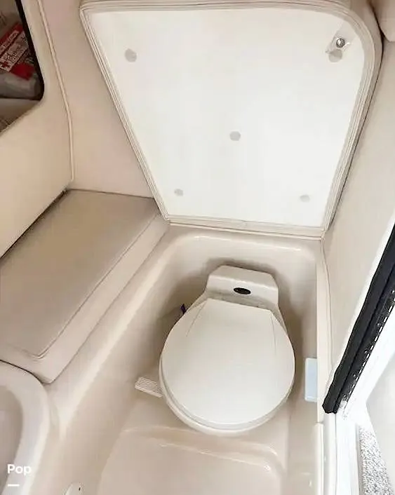 Slide: The Image of Head - 16064211