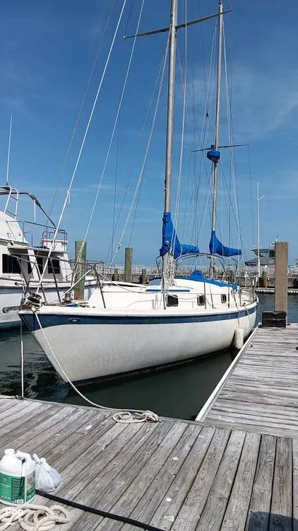 The Image of Gulfstar 41 1973 - 16050664