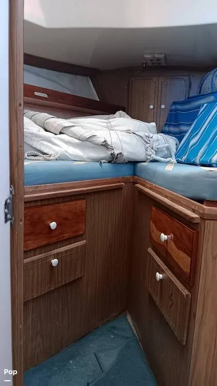 Slide: The Image of Gulfstar 41 1973 - 16050750