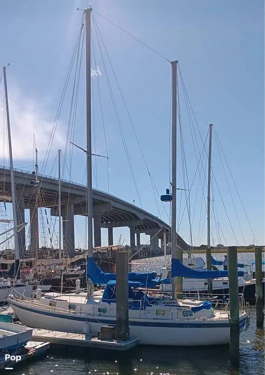 Slide: The Image of Gulfstar 41 1973 - 16050735