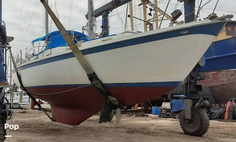 Slide: The Image of Gulfstar 41 1973 - 16050737