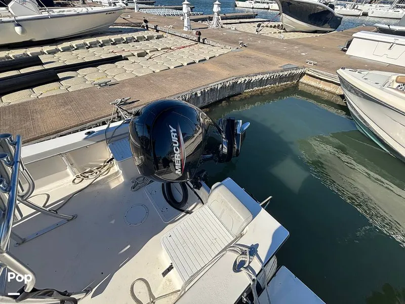 Slide: The Image of Maycraft 208 CC 2023 - 16158406