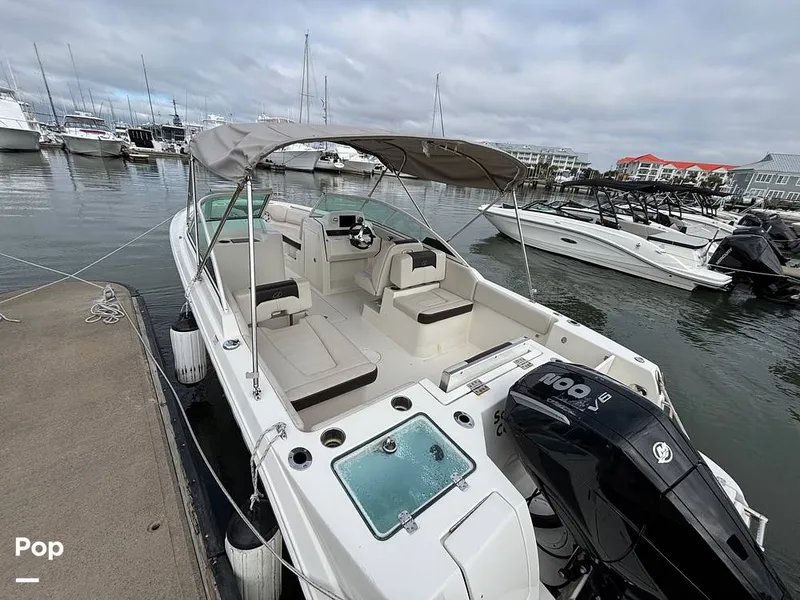 Slide: The Image of Sailfish 226 DC 2024 - 16107811