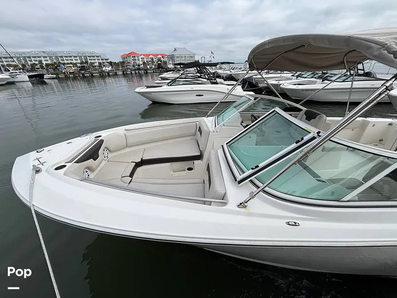 Slide: The Image of Sailfish 226 DC 2024 - 16107814