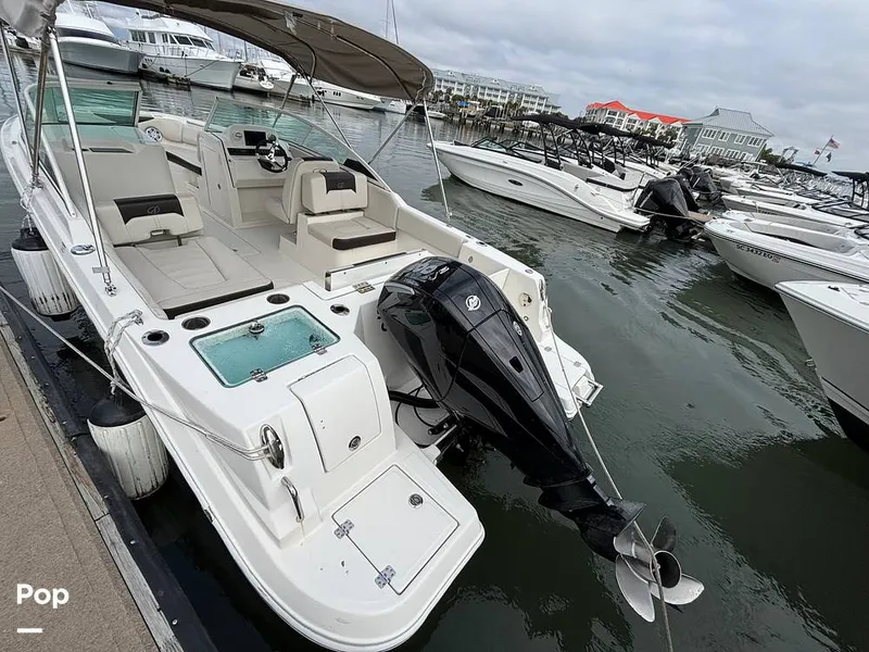 Slide: The Image of Sailfish 226 DC 2024 - 16107820