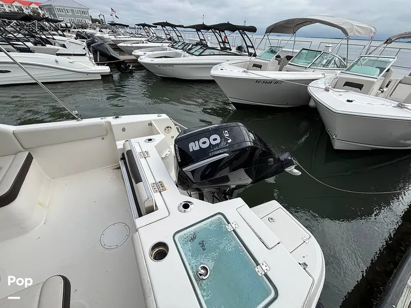 Slide: The Image of Sailfish 226 DC 2024 - 16107821