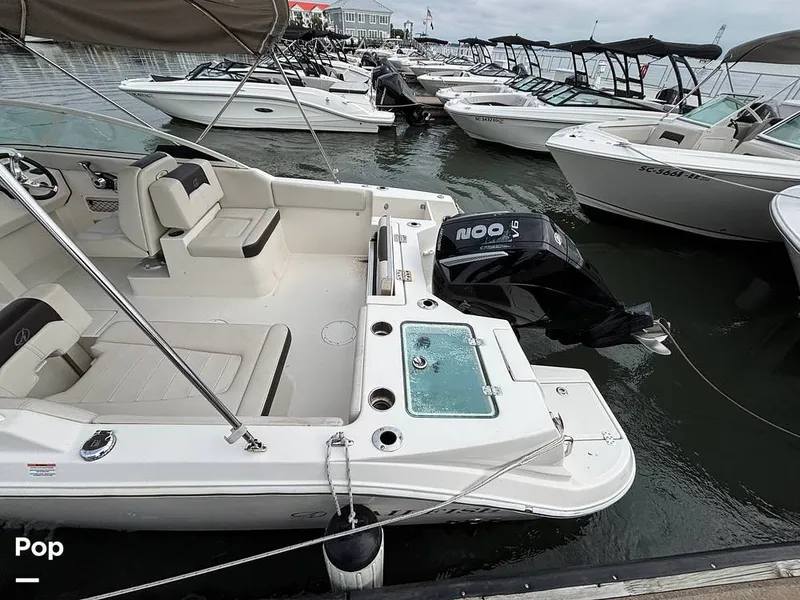 Slide: The Image of Sailfish 226 DC 2024 - 16107781