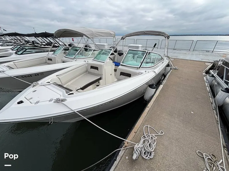 The Image of Sailfish 226 DC 2024 - 16107810