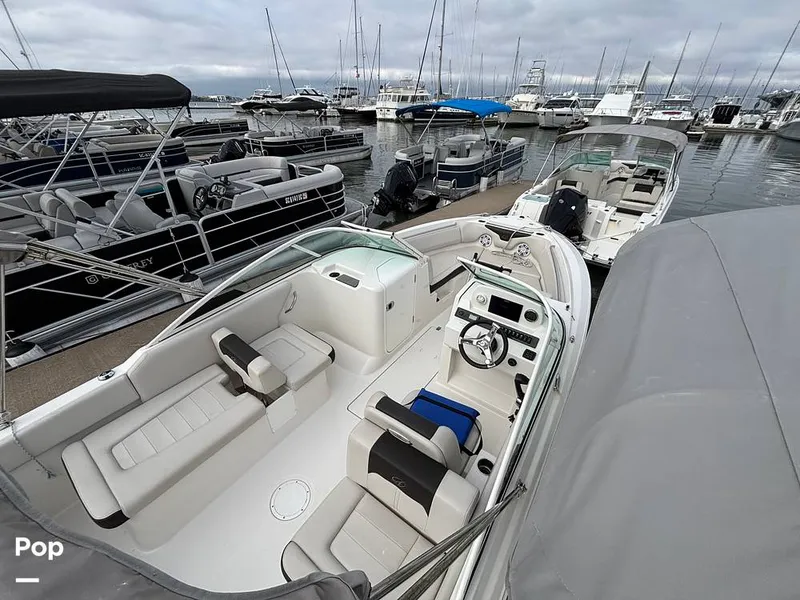 Slide: The Image of Sailfish 226 DC 2024 - 16107784