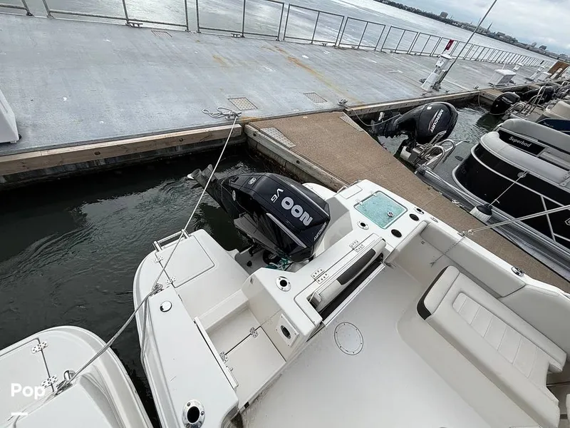 Slide: The Image of Sailfish 226 DC 2024 - 16107782