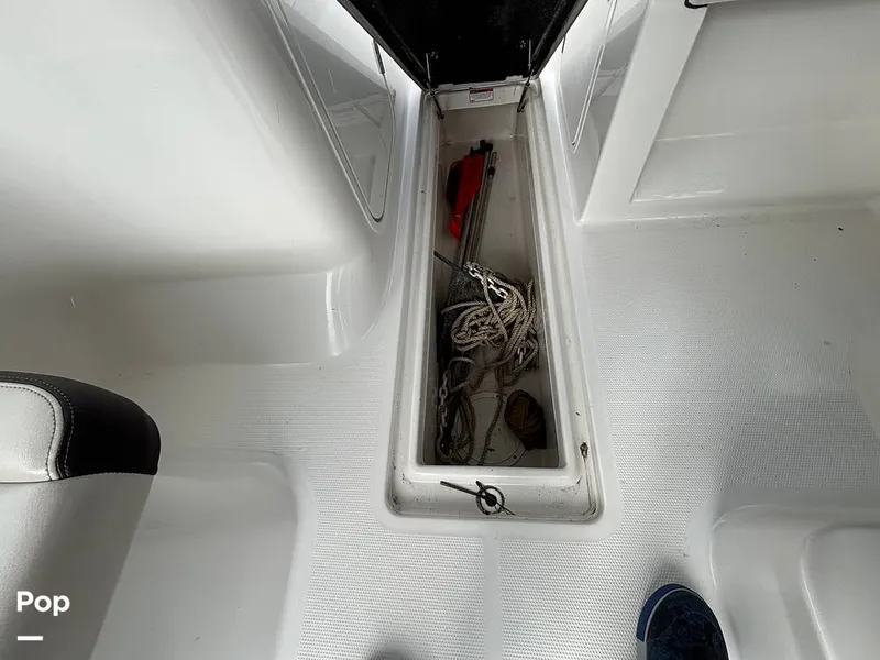 Slide: The Image of Sailfish 226 DC 2024 - 16107858