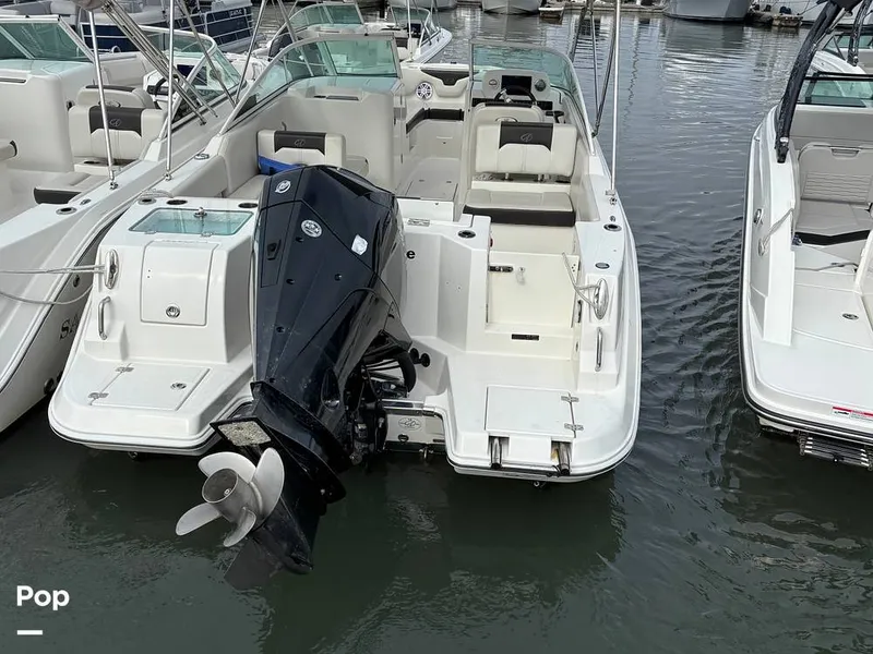 Slide: The Image of Sailfish 226 DC 2024 - 16107847