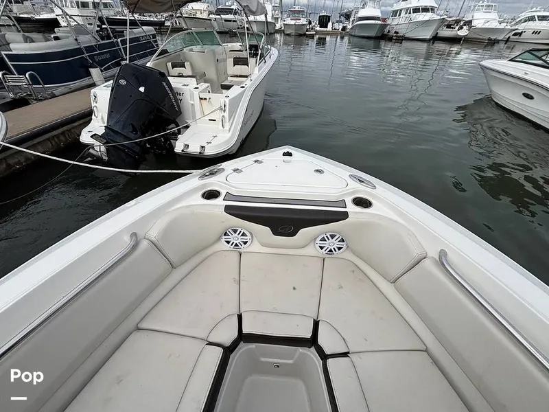 Slide: The Image of Sailfish 226 DC 2024 - 16107854