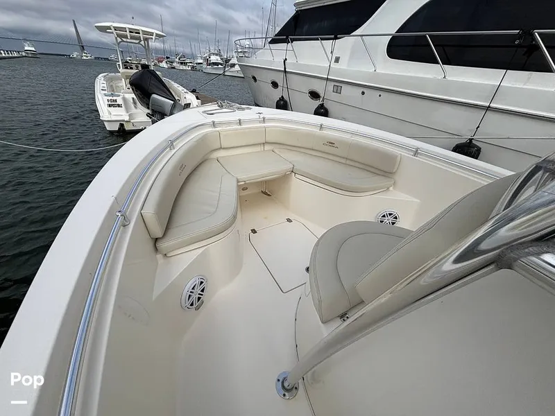 Slide: The Image of Cobia 237 CC 2023 - 16107946