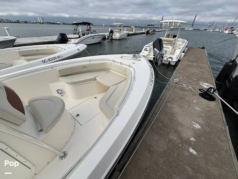 Slide: The Image of Cobia 237 CC 2023 - 16107954