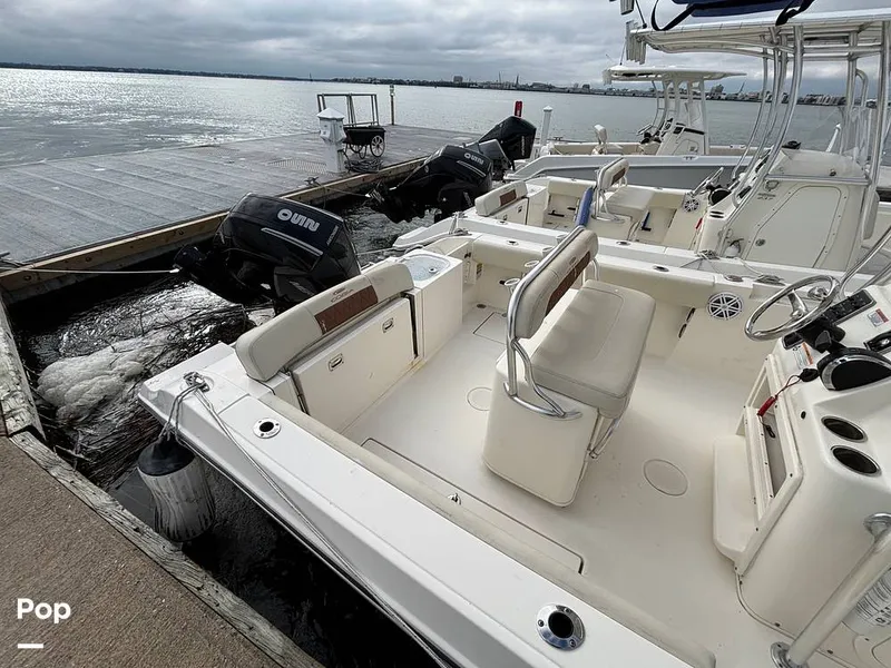 Slide: The Image of Cobia 237 CC 2023 - 16107958