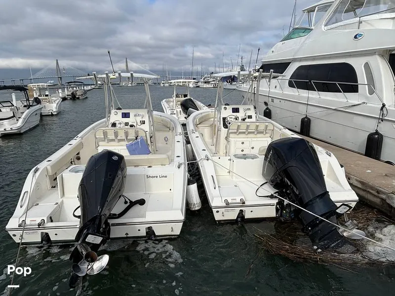 The Image of Cobia 237 CC 2023 - 16107944