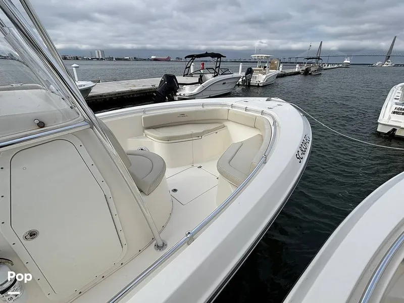 Slide: The Image of Cobia 237 CC 2023 - 16107994