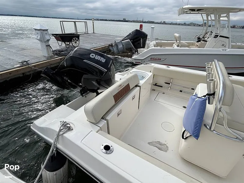 Slide: The Image of Cobia 237 CC 2023 - 16107995