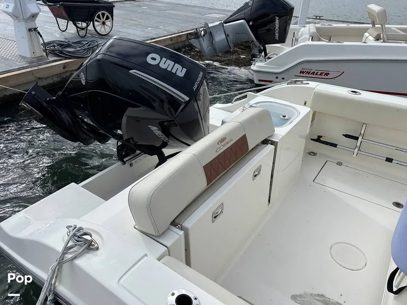 Slide: The Image of Cobia 237 CC 2023 - 16107996