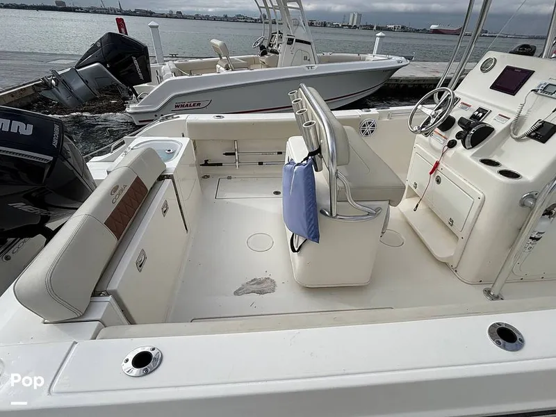 Slide: The Image of Cobia 237 CC 2023 - 16107997