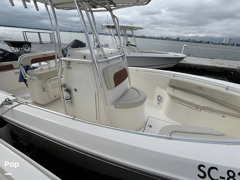 Slide: The Image of Cobia 237 CC 2023 - 16107991