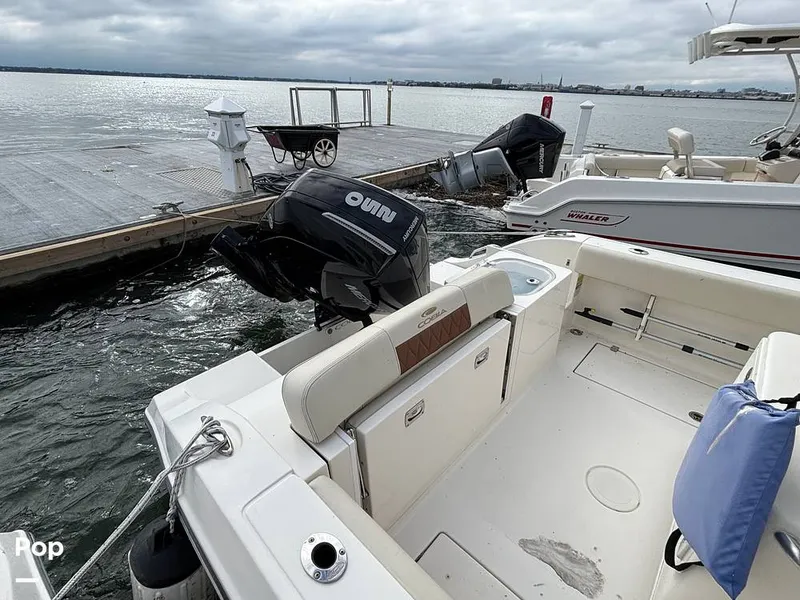 Slide: The Image of Cobia 237 CC 2023 - 16107988