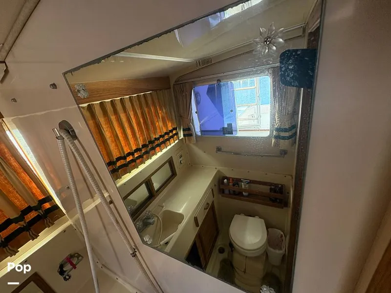 Slide: The Image of Bertram 33 Sportfisherman 1984 - 16197533